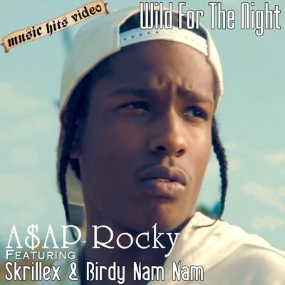 A$AP Rocky feat. Skrillex & Birdy Nam Nam - Wild For The Nigh