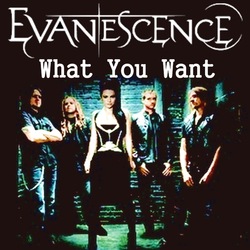 Evanescence-What You Want
