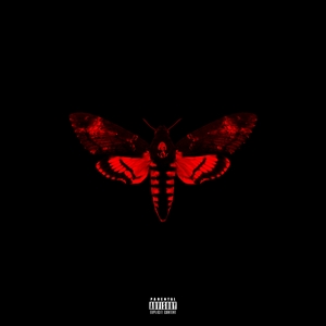 Lil Wayne - I Am Not a Human Being II
