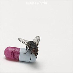 Red Hot Chili Peppers-I'm With You